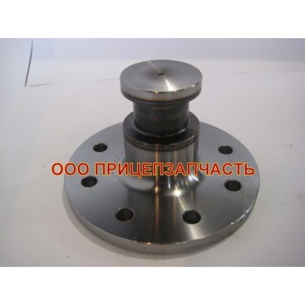 Шкворень БЦМ 23.01.05.200.05000.