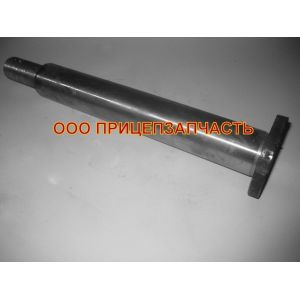 Ось вилки задней подвески (с гайкой, шайбой) ЧМЗАП 9990-2910230-12 Ось вилки задней подвески (с гайкой, шайбой) ЧМЗАП 9990-2910230-12