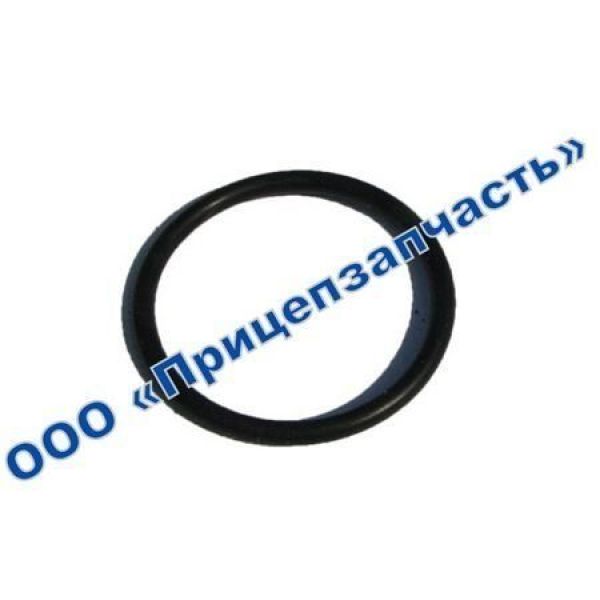 Уплотнительное кольцо тормозного вала Уплотнительное кольцо тормозного вала